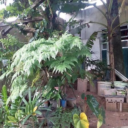El Caleuche Hostel Rio das Ostras Kültér fotó