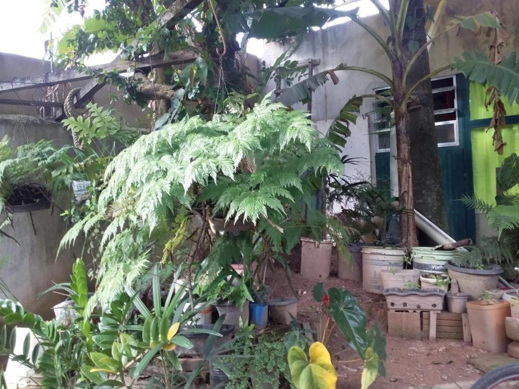 El Caleuche Hostel Rio das Ostras Kültér fotó