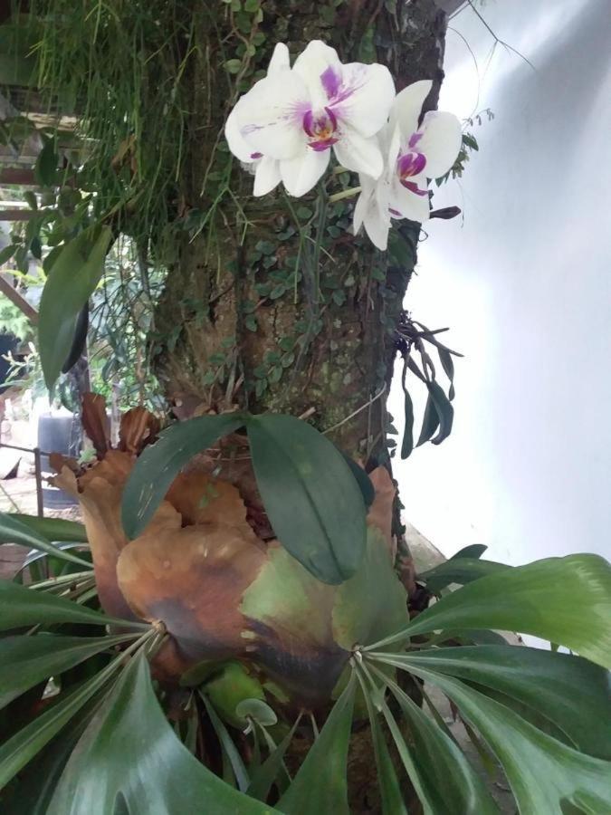 El Caleuche Hostel Rio das Ostras Kültér fotó